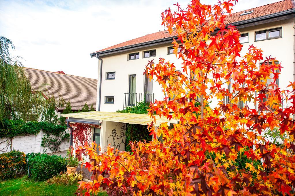 May Residence Dumbravita  Exterior foto