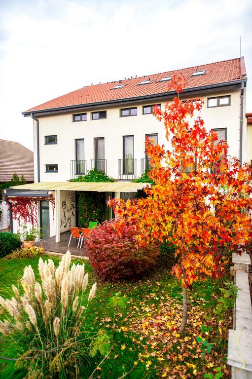 May Residence Dumbravita  Exterior foto