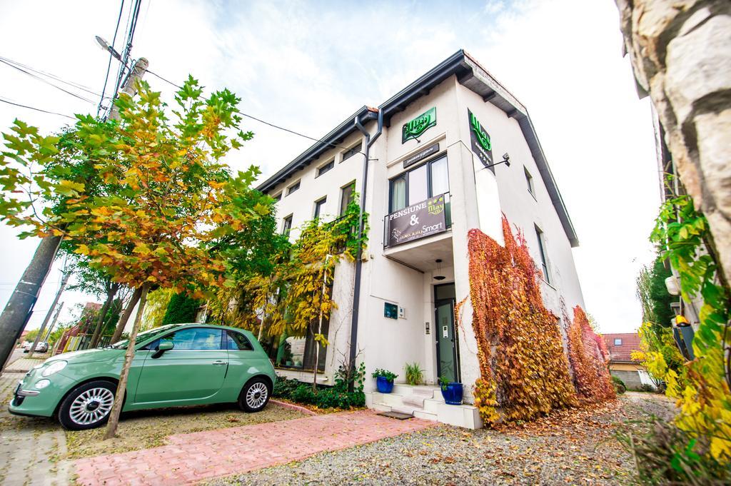 May Residence Dumbravita  Exterior foto